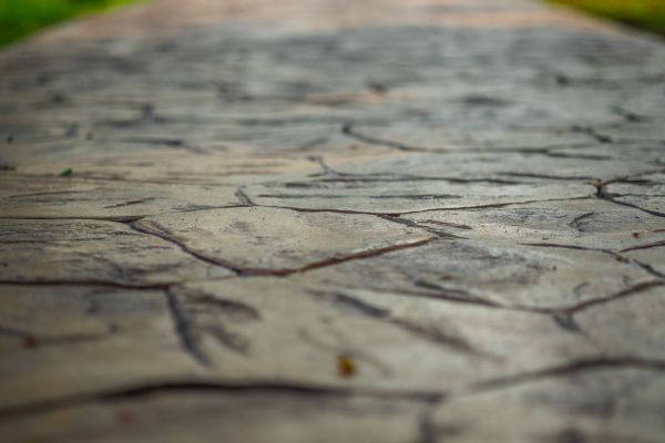 Sidewalk Imprinting in Helena