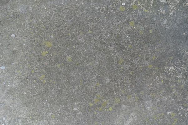 Cost of Slab Staining Service in Helena